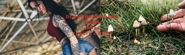 герыч Новодвинск
