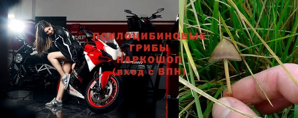 гидропоника Новозыбков