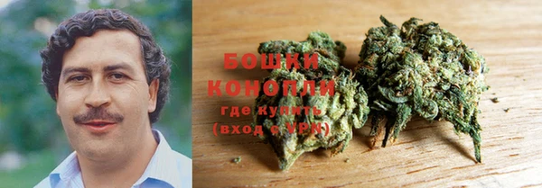 spice Рославль