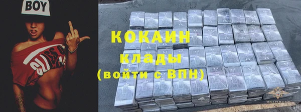 гидропоника Новозыбков